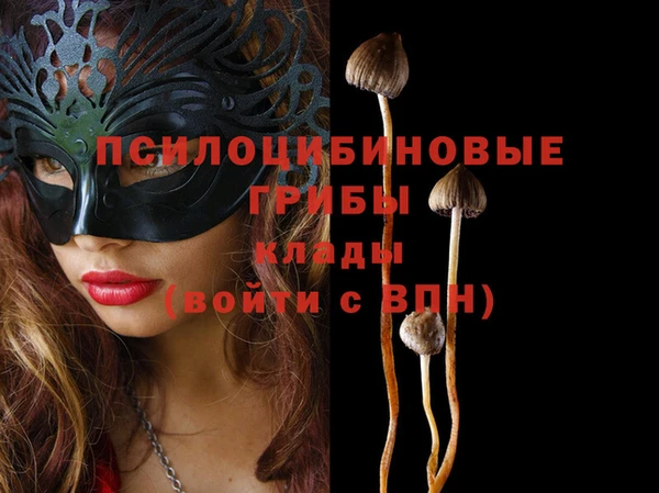 меф Корсаков