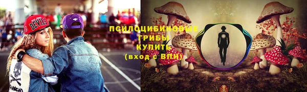 каннабис Коряжма